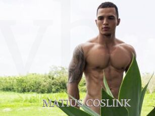 MATIUS_COSLINK