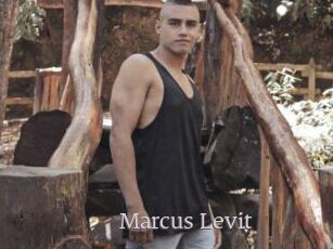 Marcus_Levit