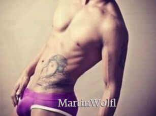Martin_Wolfl