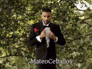 MateoCeballos