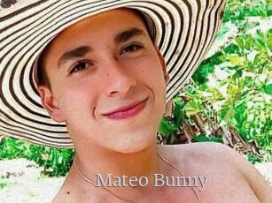 Mateo_Bunny