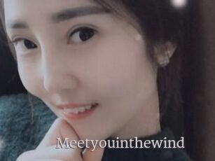 Meetyouinthewind