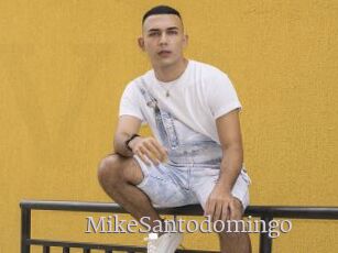 MikeSantodomingo