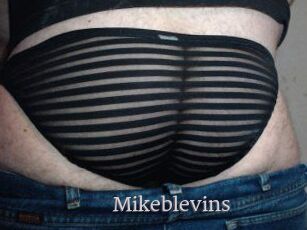 Mikeblevins