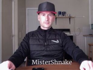 MisterShnake