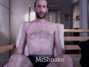 MrShnake