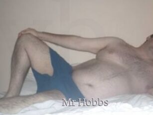 Mr_Hobbs