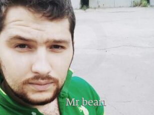 Mr_bear1