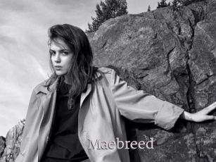 Maebreed