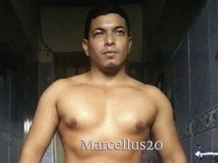 Marcellus20