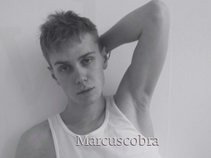 marcuscobra Vidéo Beurettes