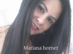Mariana_hornet