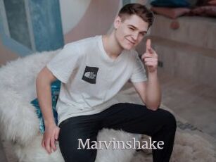 Marvinshake