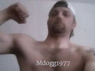 Mdogg1977