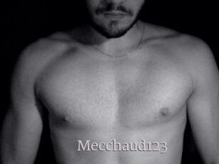 Mecchaud123