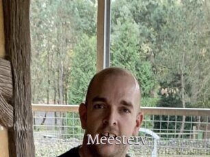 Meesterv