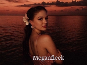 Meganfleek