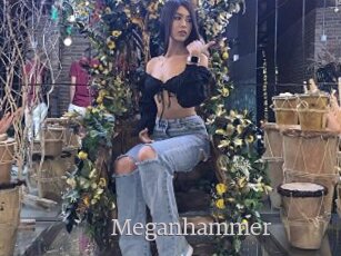 Meganhammer