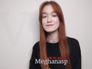 Meghanasp