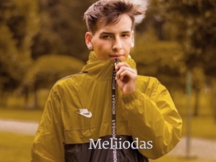 Meliiodas