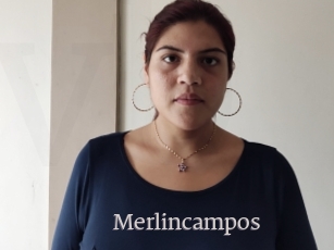 Merlincampos
