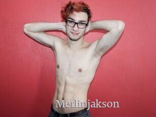 Merlinjakson
