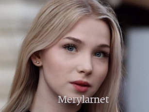 Merylarnet