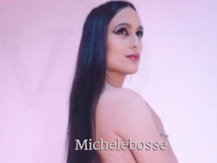 Michelebosse