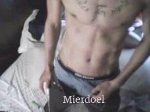 Mierdoel