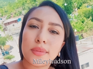 Mileyhudson