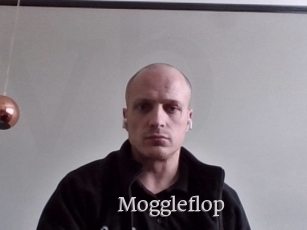 moggleflop Vidéo Beurettes