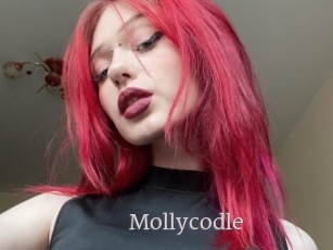 Mollycodle