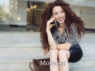 Mollykat