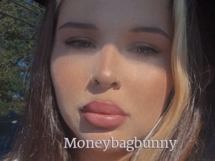 Moneybagbunny
