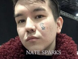 NATE_SPARKS