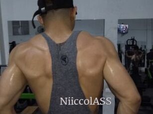 NiiccolASS