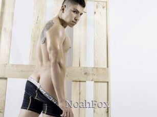 NoahFox