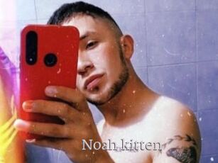 Noah_kitten