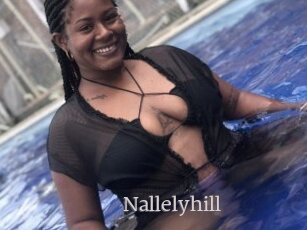 Nallelyhill