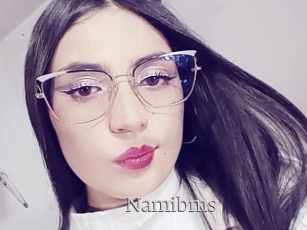 Namibms