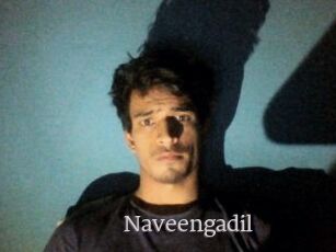 Naveengadil