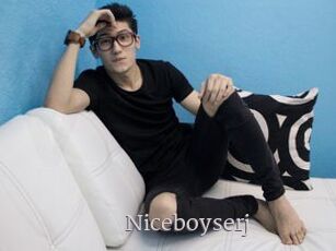 Niceboyserj