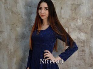 Nicecatt