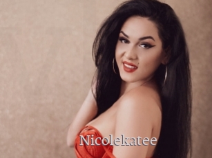 nicolekatee Vidéo Beurettes