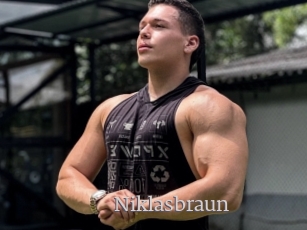 Niklasbraun