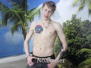 Noakarter