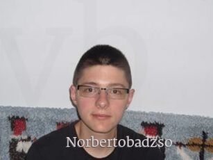 Norbertobadzso