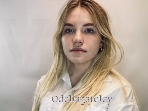 Odeliagateley