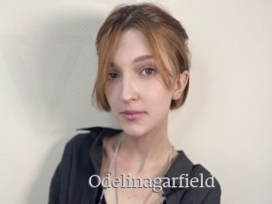Odelinagarfield