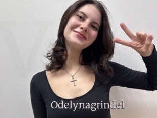 Odelynagrindel